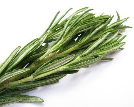 Rosemary