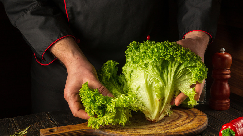 Chef displaying leaves of a head of lettuce