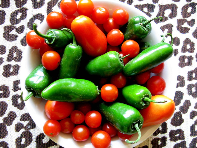 salsa ingredients