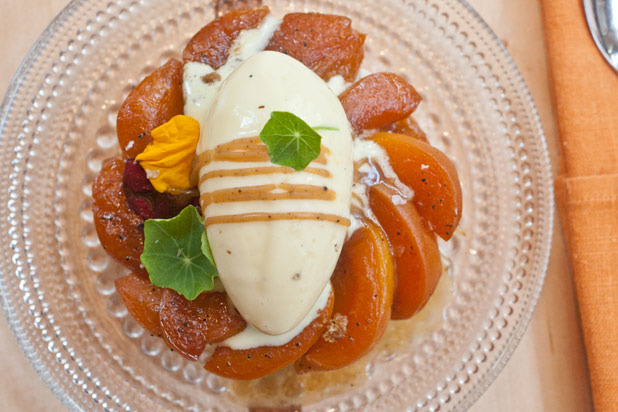 Warm Apricot Tart Tatin