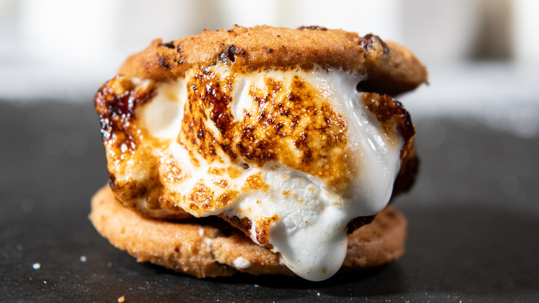 s'more made with cookies