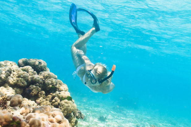 Conch Diving in Turks & Caicos