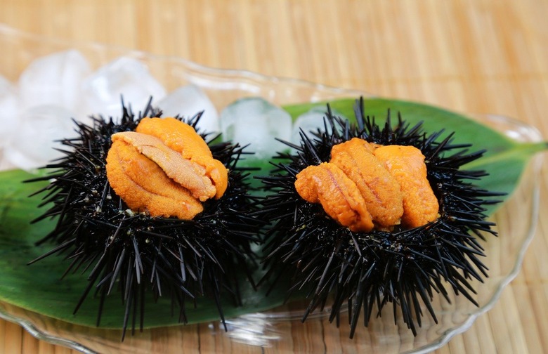 Eat: Sea Urchin