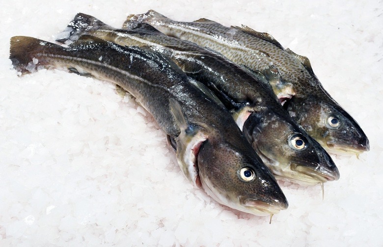 Avoid: Atlantic Cod 