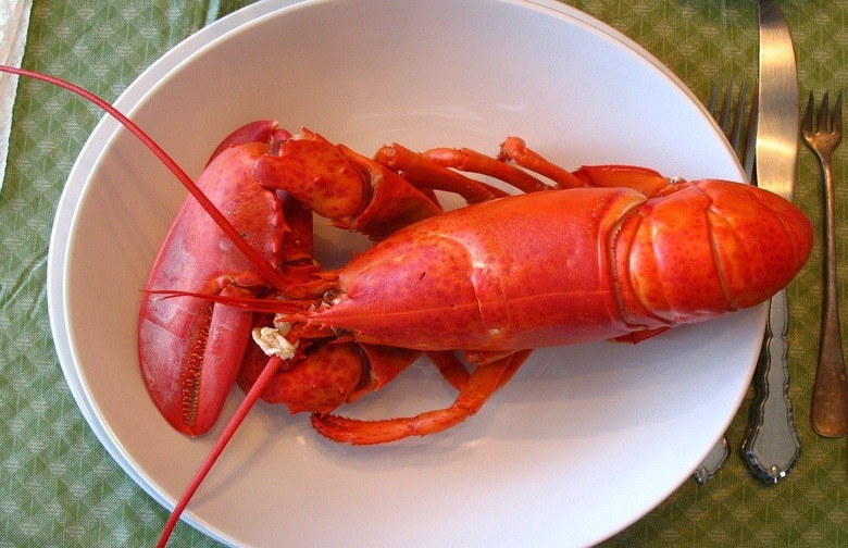 Avoid: Lobster