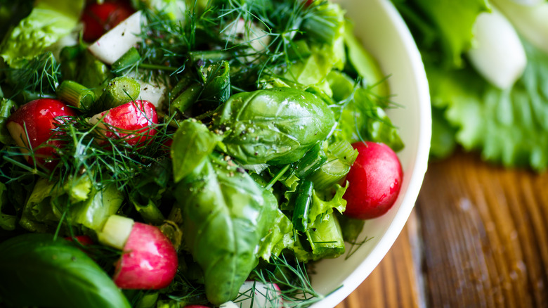 Leafy green and radish salad