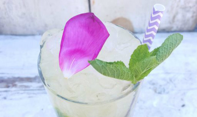 Bodacious Herbaceous Mojito