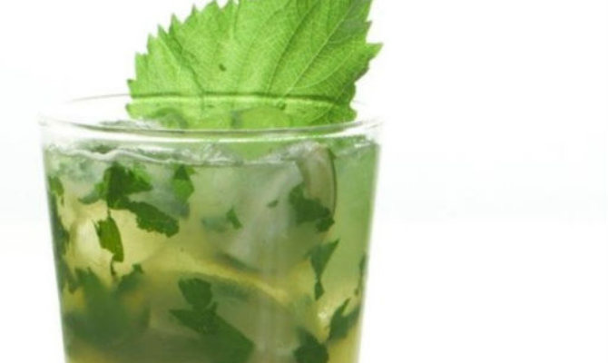 Mojito Nihongo