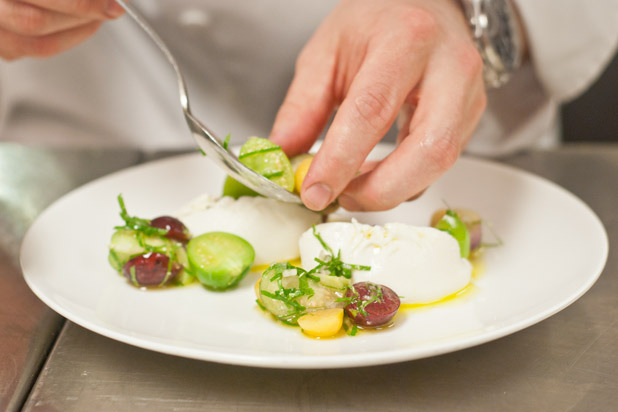 Burrata