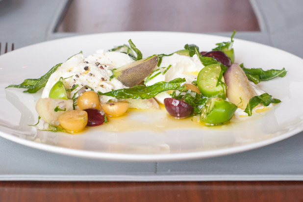 Buffalo's Milk Burrata 