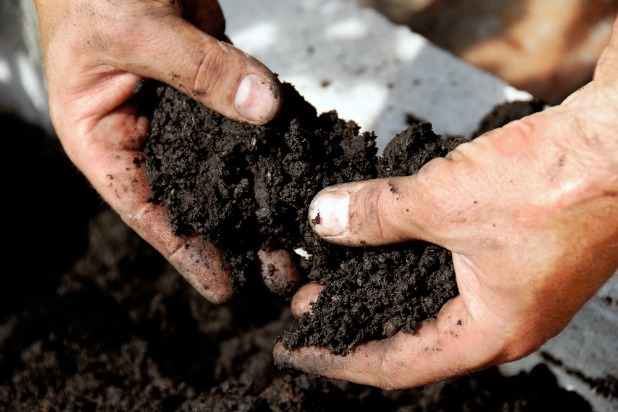 How Do You Care for Your Soil? 