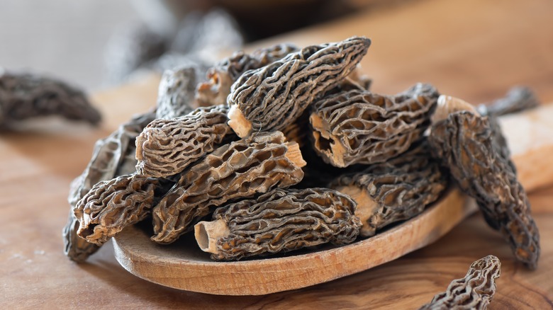 pile of morel mushrooms