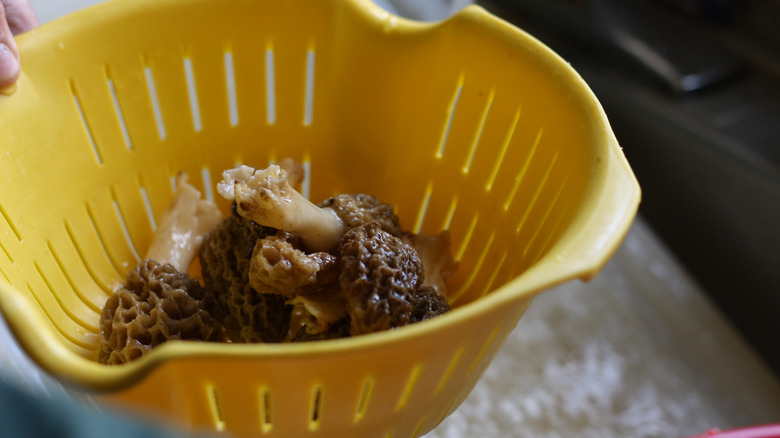 washing morel mushrooms in collander