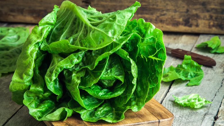 Head of lettuce on cutting board