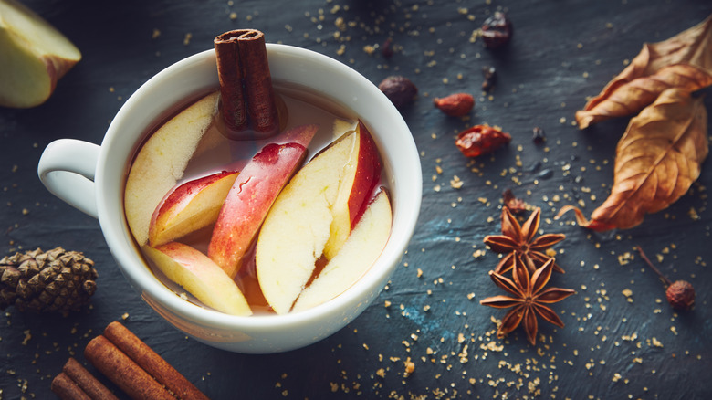 cup of hot apple cider with apples and spices