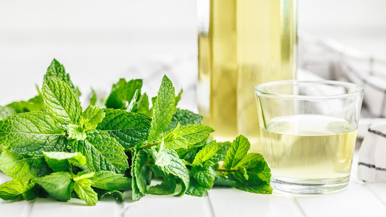 mint syrup and mint leaves