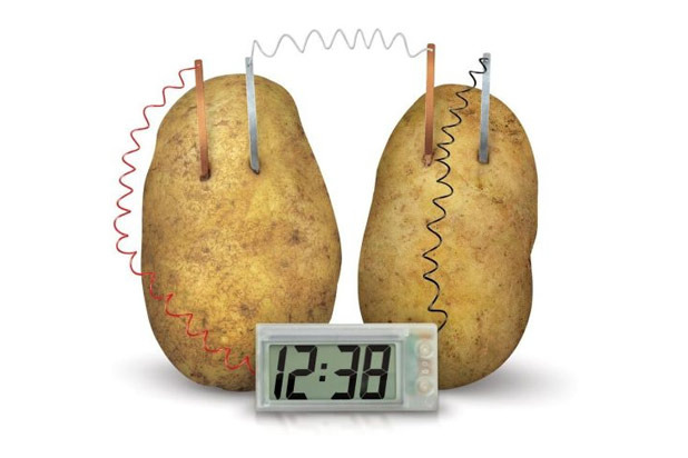 Potato Alarm Clock