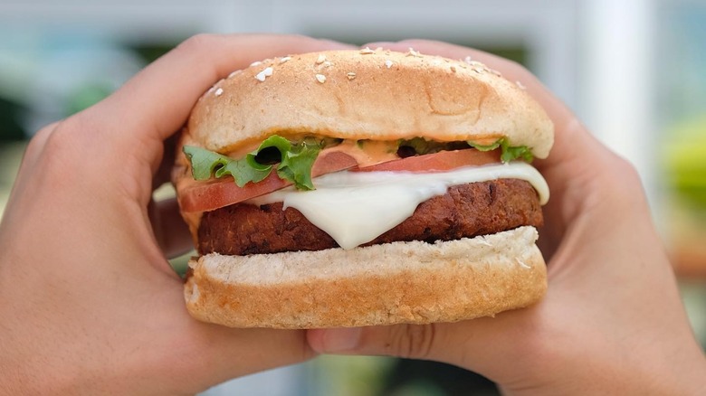 hands holds veggie Burger