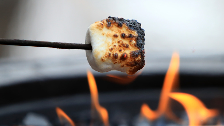 person toasting a marshmallow over a fire