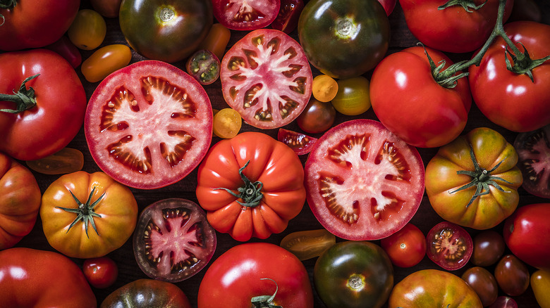 Tomatoes of different colors and variety