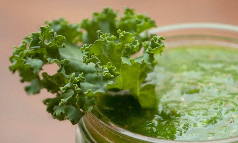 health warrior shamrock kale shake