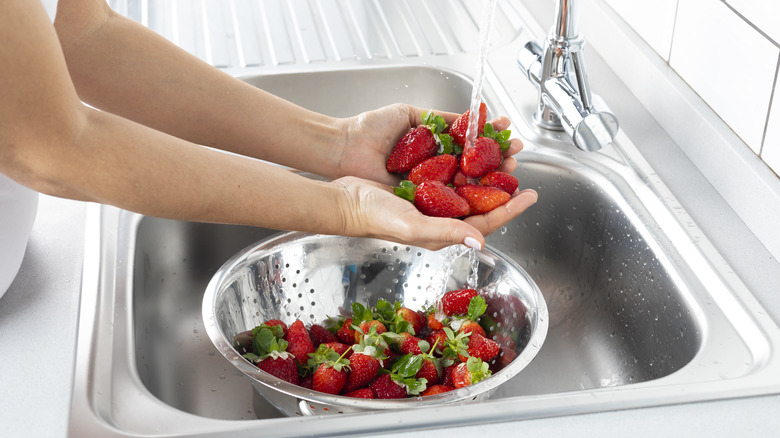 Woman washing strawberries in colander