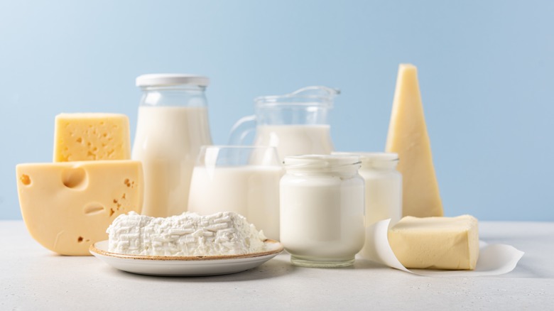 Variety of dairy products 