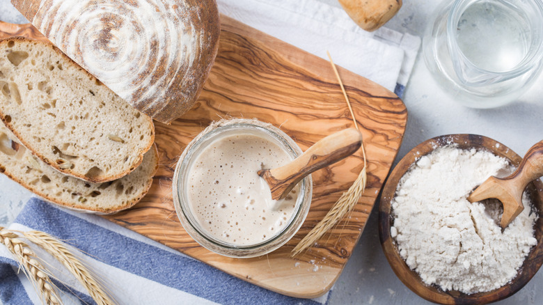 sourdough bread and starter 