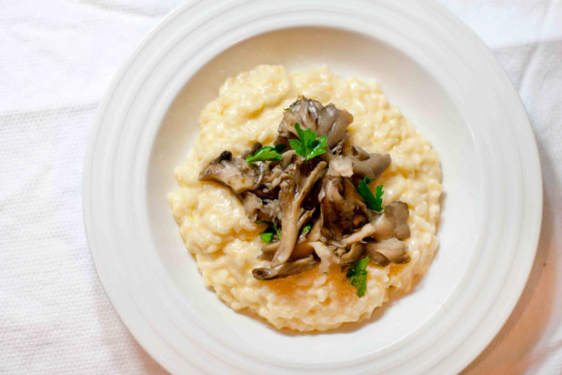 Creamy Mushroom Risotto