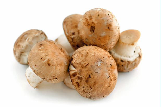 Mushroom Duxelles