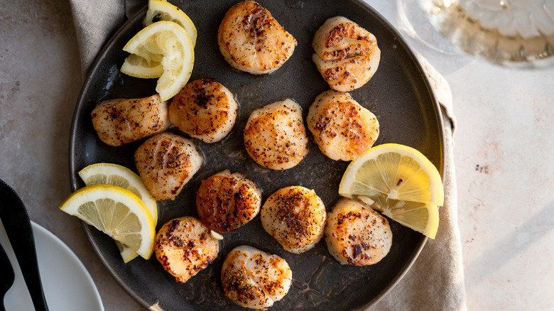 simple seared scallops on plate 