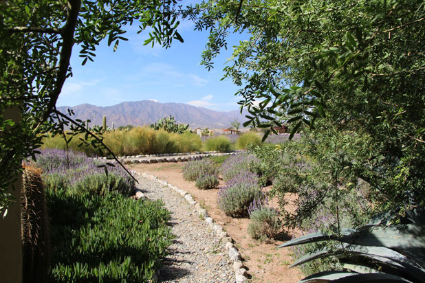 Calchaquí Valley