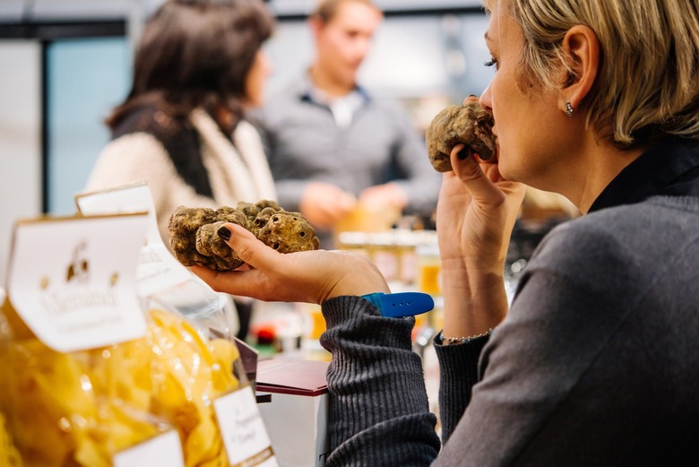 Alba White Truffle Festival (Alba, Italy)