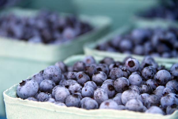 PEI Blueberries