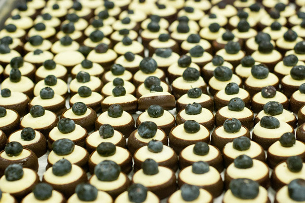 Miniature Cheesecakes