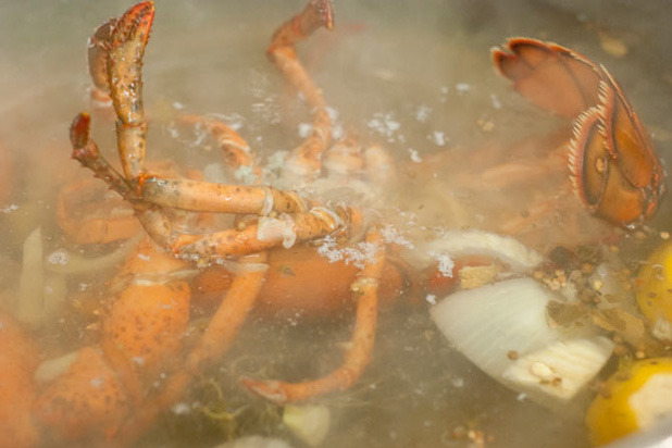 Boiling Lobster