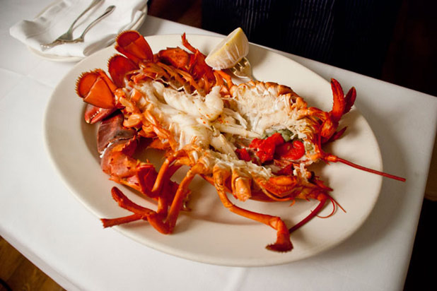 Mouth-Watering Lobster