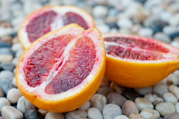 Blood Orange