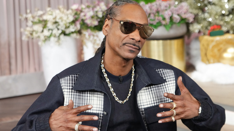 Snoop Dogg on the Jennifer Hudson Show.