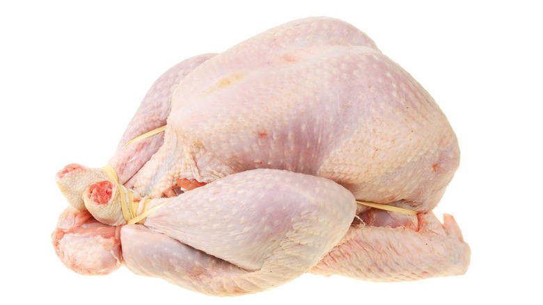 A trussed turkey