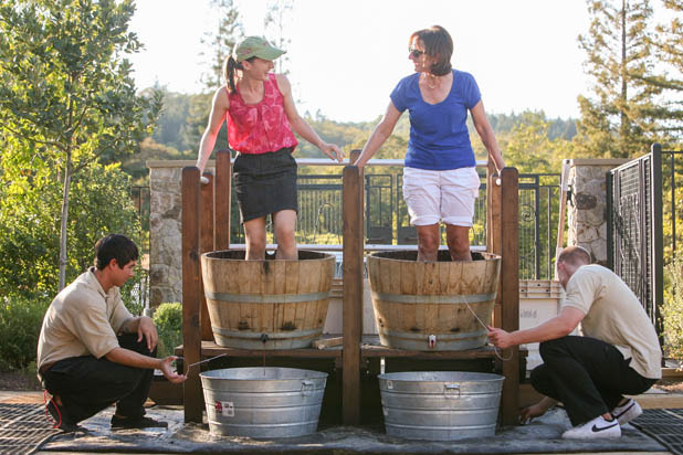 Grape Stomping