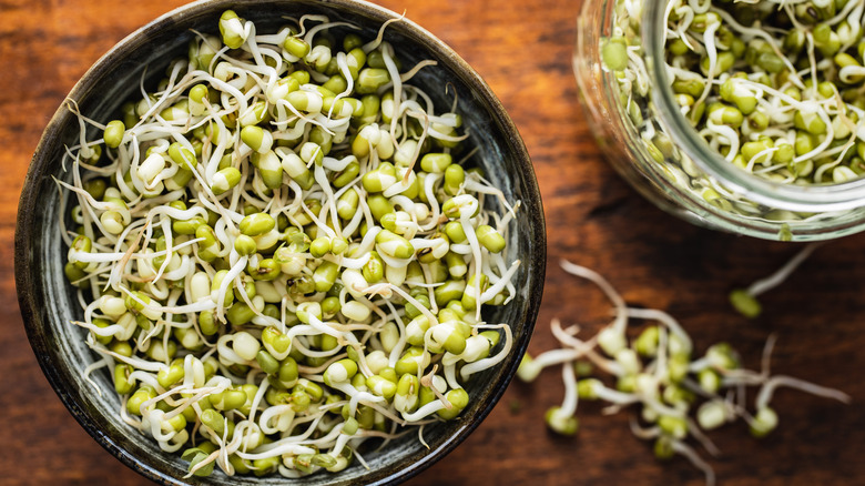 Bowl of mung bean sprouts