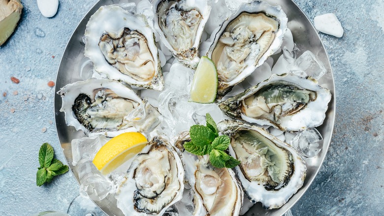 fresh oysters on half shell on ice with lemons