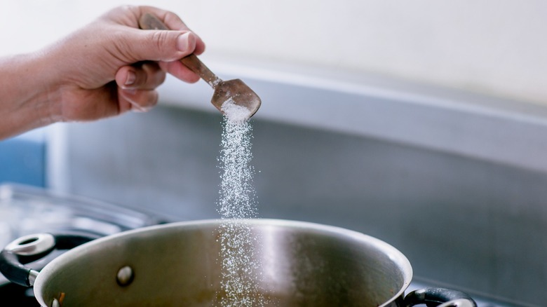 Person adding salt to pot