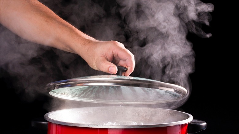 Hand removing lid from pot 