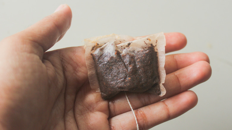 used tea bag in hand