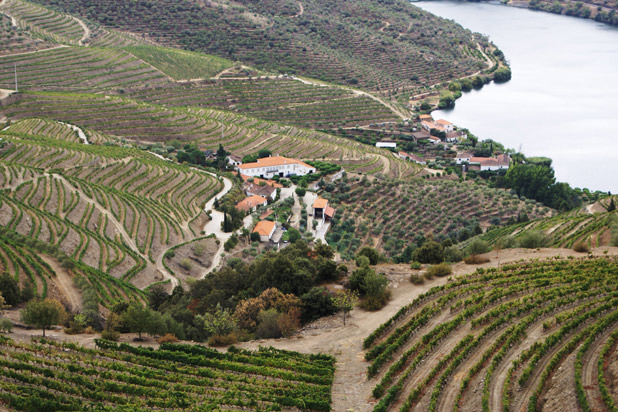 Quinta dos Cainas