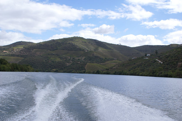 Quinta de Roriz