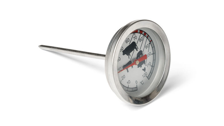 Meat thermometer