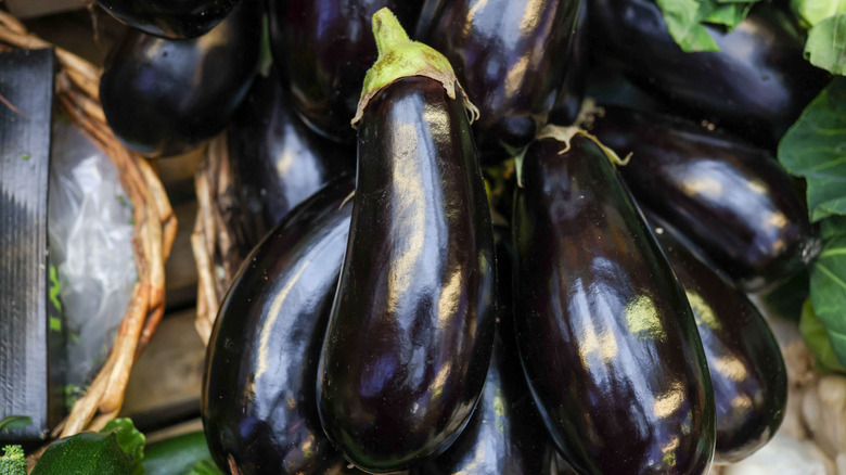 Lots of purple eggplants